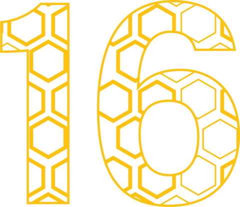 number 16 with honeycomb pattern on transparent background - Download Free Stock Videos Pikwizard.com