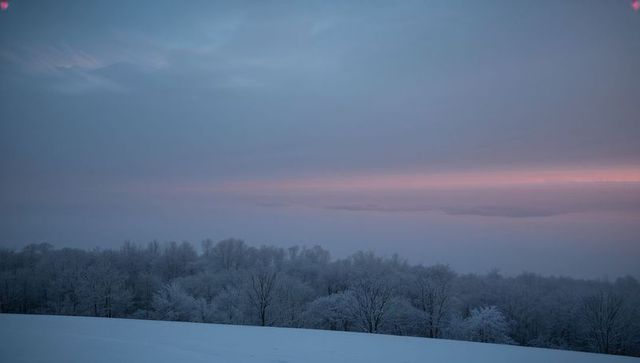 Winter dawn showing snowy slope leading to frosted treeline with pink fog horizon glow