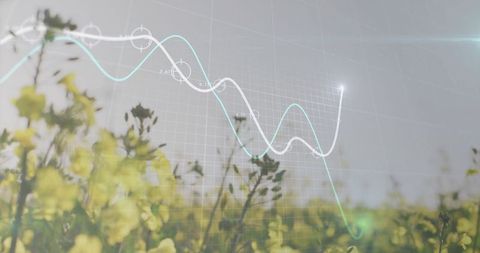 Agricultural data analysis overlaid on canola field