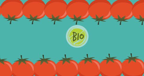 Organic Tomato Banner with 'Bio' Label on Blue Background - Download Free Stock Images Pikwizard.com