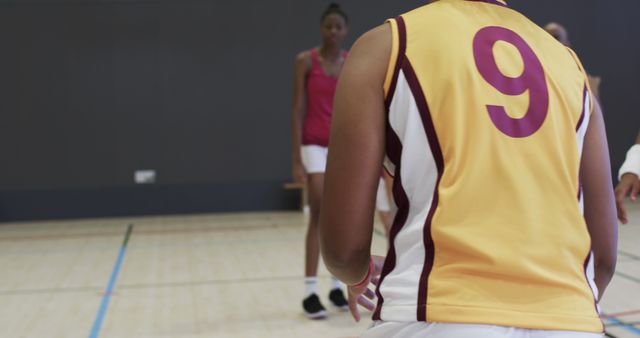 Female Volleyball Team Preparing for Match - Download Free Stock Images Pikwizard.com