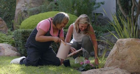 Senior Women Enjoy Garden Planting Together in Sunshine