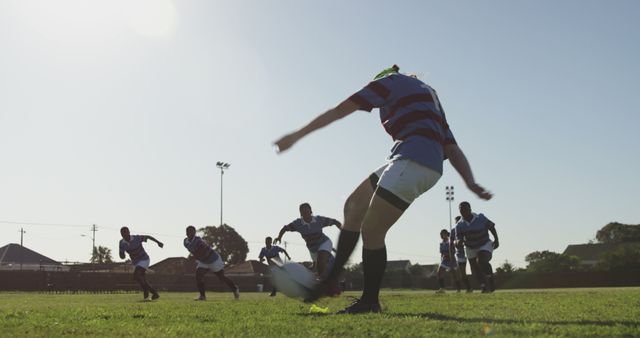 Rugby Players Kicking Ball on Field During Sunny Day - Download Free Stock Images Pikwizard.com