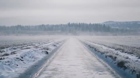 Camera gliding along frozen rural road toward misty tree line with drifting fog and frost