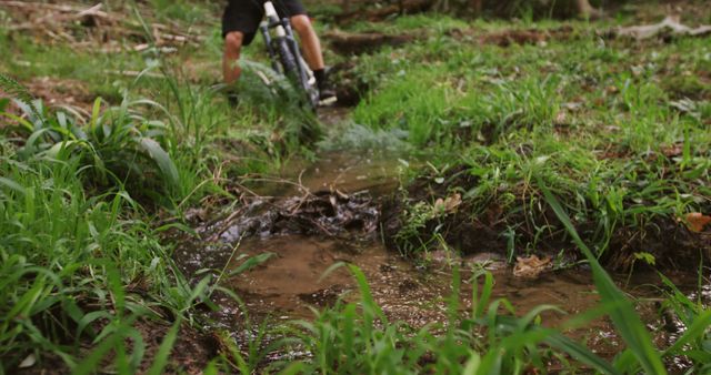 Biker crossing small stream in lush forest, navigating rough terrain with mountain bike. Useful for themes of outdoor adventure, exploration, exercise, and nature activities. Could illustrate articles on mountain biking, promote outdoor gear, or inspire nature enthusiasts.