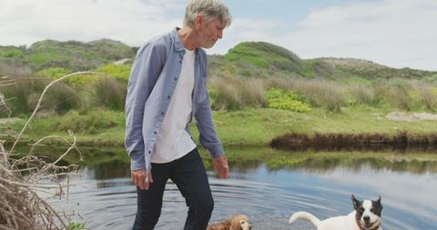 Senior Man Enjoying Outdoor Walk with Dogs by River