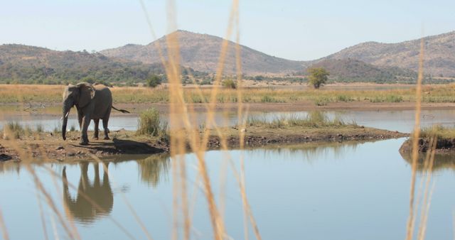 African elephant drinking from lake against mountains with copy space - Download Free Stock Photos Pikwizard.com