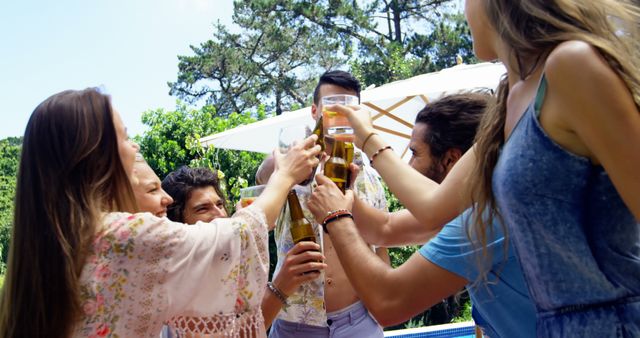 Young Adults Enjoying Summer Outdoor Gathering Toasting Drinks - Download Free Stock Images Pikwizard.com