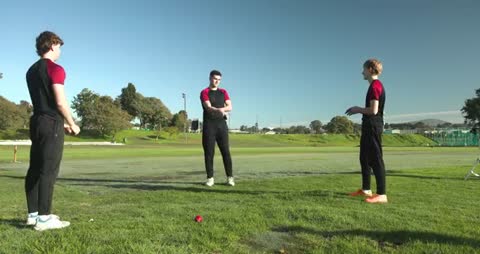Cricket Players Strategizing Before Practice Session
