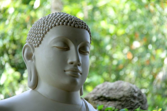 Buddha mahamevnawa sri lanka - Download Free Stock Photos Pikwizard.com