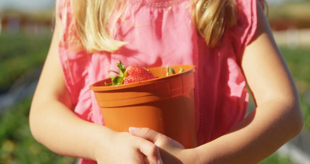 Little girl holding a container filled with fresh strawberries, perfect for themes related to outdoor activities, farm produce, and family farming trips. Useful for illustrating articles on summer fruits, child-friendly farming activities, and gardening. Ideal for blogs, educational content, and health and nutrition promotions.