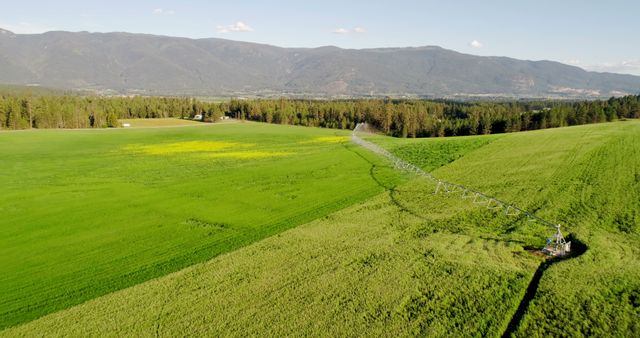 Aerial View of Lush Farmland With Irrigation System in Operation - Download Free Stock Images Pikwizard.com