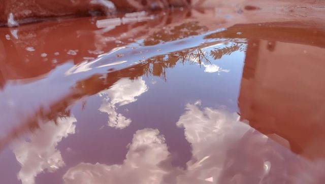 Reflecting blue sky and white clouds on glossy red surface with silhouetted branches