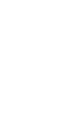 transparent digital illustration of white spider web with spider - Download Free Stock Videos Pikwizard.com