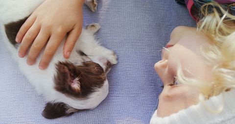 Young Girl Relaxing with Her Puppy on blanket - Download Free Stock Images Pikwizard.com