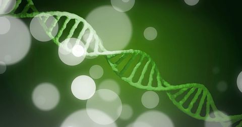 Green DNA Strand Against Bokeh Lights in Dark Background - Download Free Stock Images Pikwizard.com