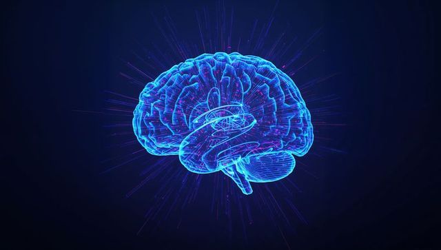 Holographic 3d brain model in innovative sci-fi environment