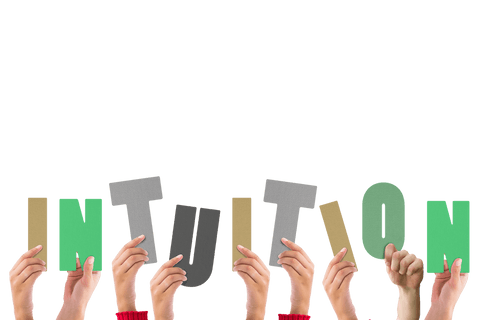 hands holding intuition text on transparent background concept - Download Free Stock Videos Pikwizard.com