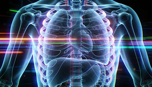 Futuristic holographic torso anatomy with glowing ribcage, lungs and heart in neon