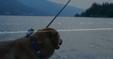 Dog on Fishing Adventure with Data Overlay in Tranquil Lake