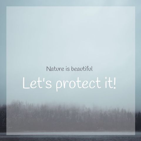 Environmental Conservation Message over Misty Forest - Download Free Stock Templates Pikwizard.com