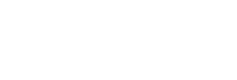 Festive Pine Leaf Pattern on Transparent Background Vector Design - Download Free Stock Videos Pikwizard.com