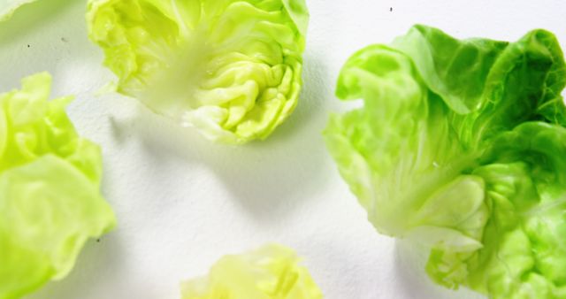 Close-up of fresh lettuce leaves scattered on white background. Ideal for use in food blog posts, health and wellness articles, recipe websites, and vegetarian dietary promotions.