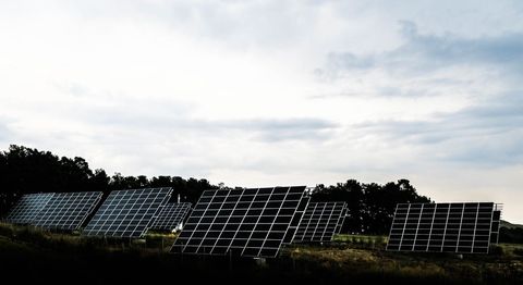 Solar Panels on Field Capturing Renewable Energy - Download Free Stock Images Pikwizard.com