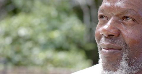 Senior Man Gazing Upward in Park for Mindfulness and Serenity