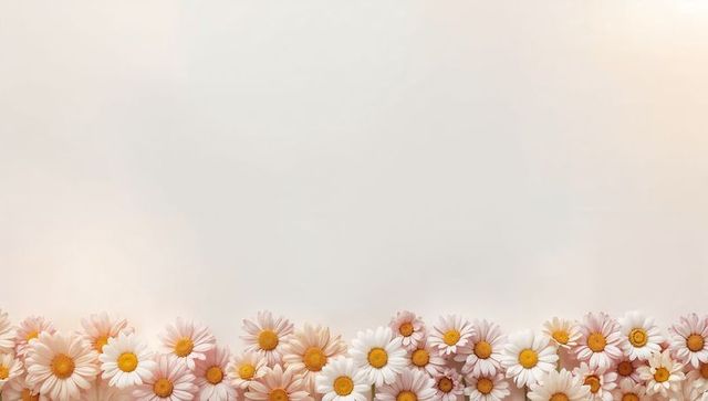 Pastel daisy border on soft gradient background, minimal floral frame for spring