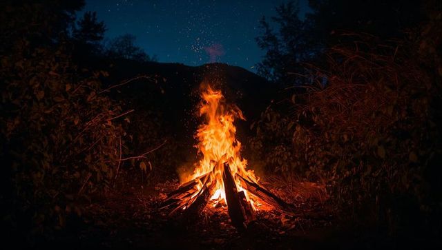 Crackling bonfire blazing in forest clearing under starry night sky, warm campfire glow