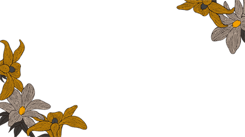 Yellow Beige Flowers on Transparent Background with Copy Space - Download Free Stock Videos Pikwizard.com