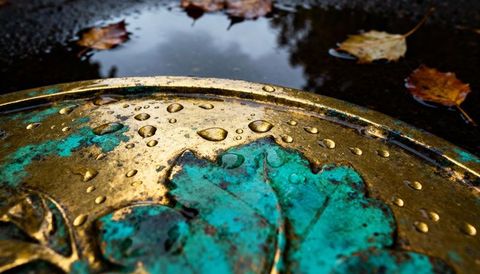 Verdigris brass disk with raindrops and fallen autumn leaves close-up texture background