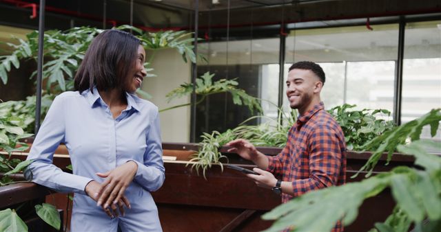 Casually Dressed Professionals Socializing in Bright Office with Indoor Plants - Download Free Stock Images Pikwizard.com