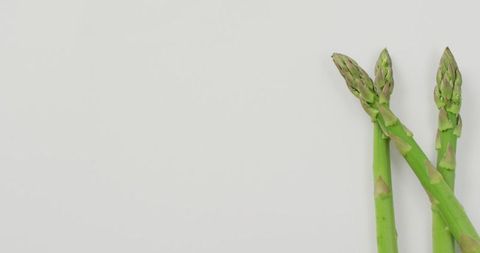Fresh green asparagus with white background for healthy eating concepts