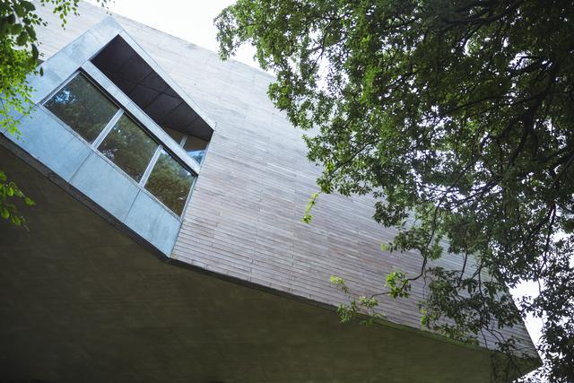 Low angle view of a tree and modern building exterior