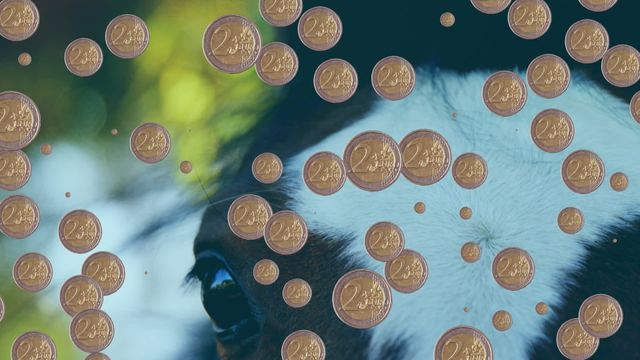 Illustrates intersection of finance and nature with floating euro coins around horse face. Ideal for illustrating concepts of currency impact on natural environments or digital market influences.