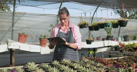 Senior woman using tablet while tending greenhouse succulents