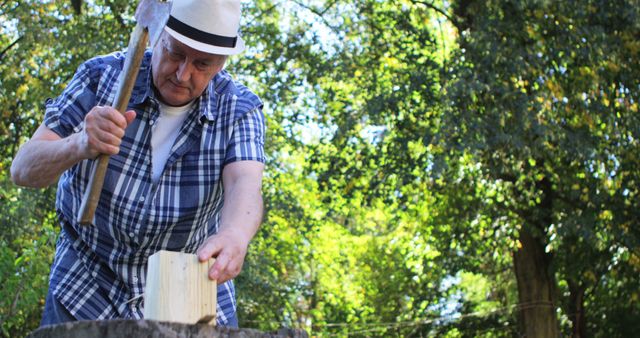 Older Man Splitting Wood with Axe in Outdoor Forest Area - Download Free Stock Images Pikwizard.com