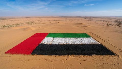 Displaying giant uae flag painted on desert sand covering dunes with tire tracks