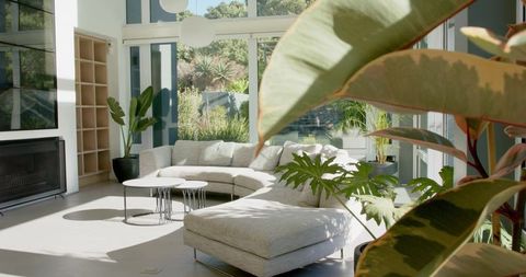 Sunlit modern living room with curved light-gray sectional sofa and lush indoor plants