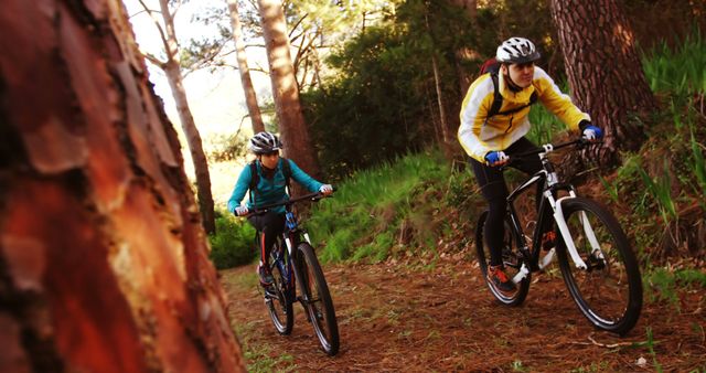 Couple Mountain Biking on Forest Trail - Download Free Stock Images Pikwizard.com