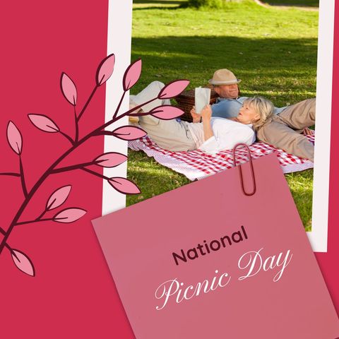 Senior couple relaxing on national picnic day in park