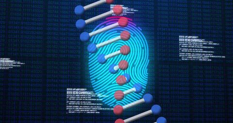 Fingerprint Scan Merging with DNA Strand in Digital Interface