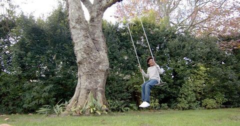 Happy African American Child Enjoying Garden Tree Swing - Download Free Stock Images Pikwizard.com