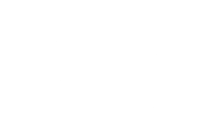 Silhouettes of Two Swordsmen Fighting on Transparent Background - Download Free Stock Videos Pikwizard.com