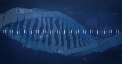 Futuristic blue ribbed helix data tunnel with white measurement scale and numeric overlays