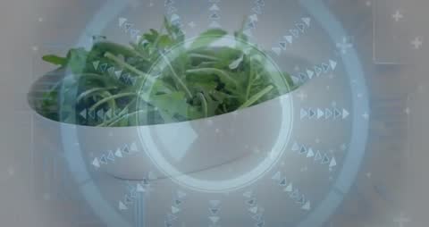 Fresh Green Salad with Virtual Interface Overlay Animation