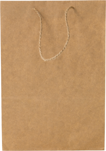 Brown Paper Bag Illustration on Transparent Background for Packaging Transportation - Download Free Stock Videos Pikwizard.com