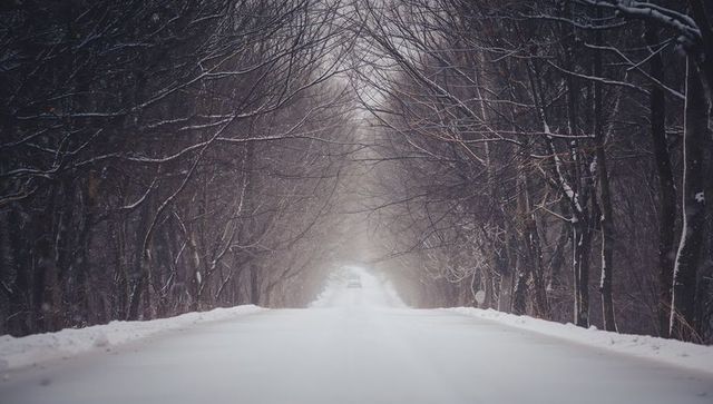Snow-covered road under arching bare branches creating misty tunnel leading into distance